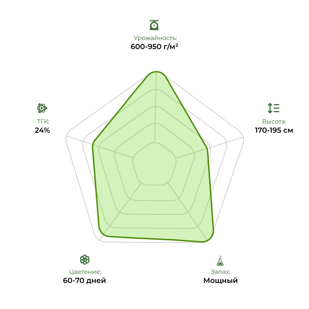Технологический радар сорта Fractal 33stakana
