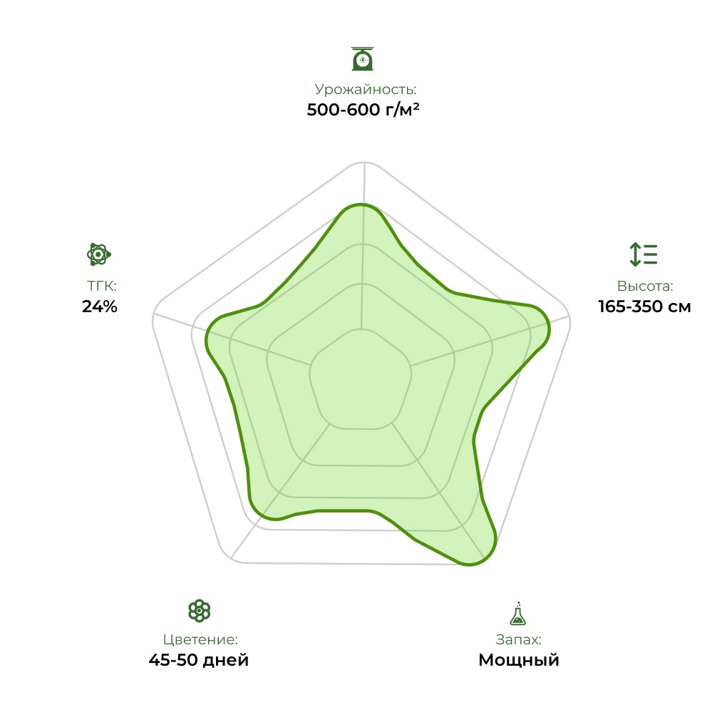 Технологический радар сорта Jack 47 F1 Fast Version 33stakana