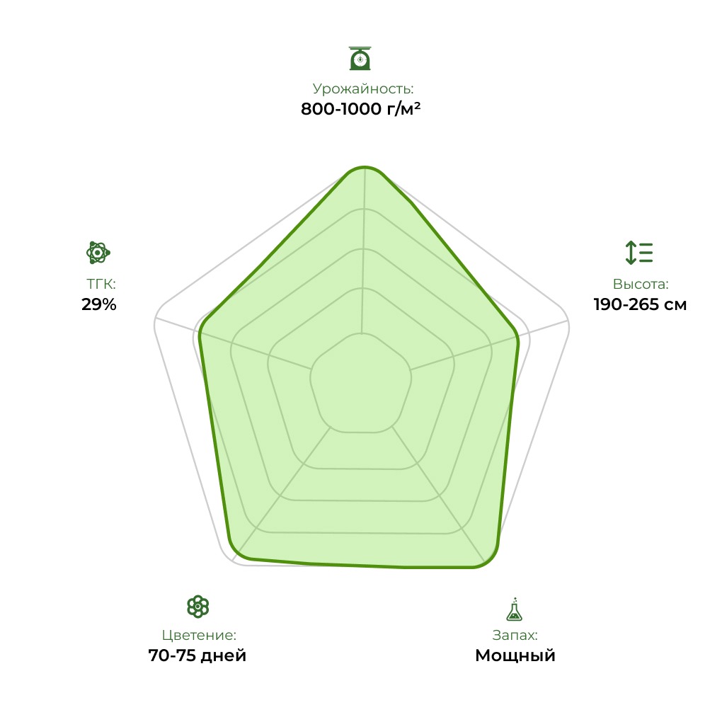 Технологический радар сорта John Weed 33stakana