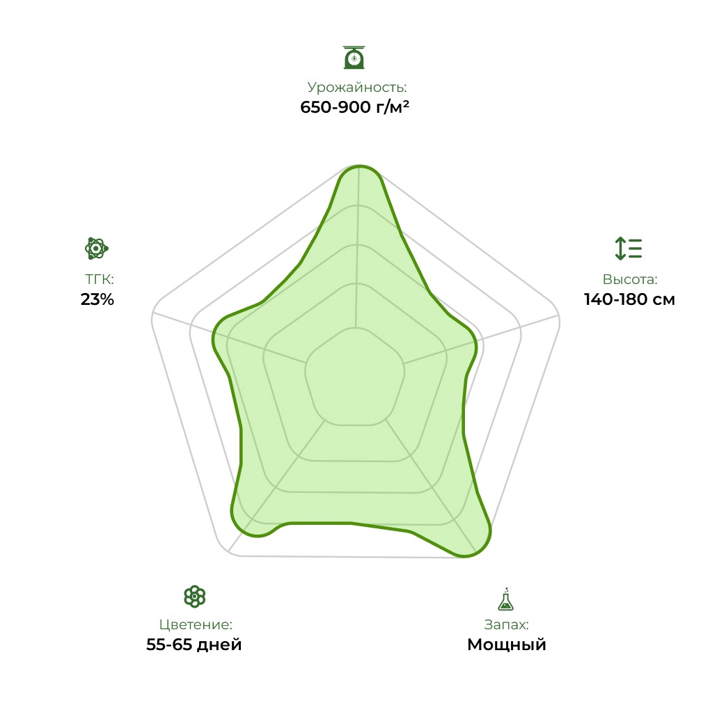 Технологический радар сорта Kabul 33stakana
