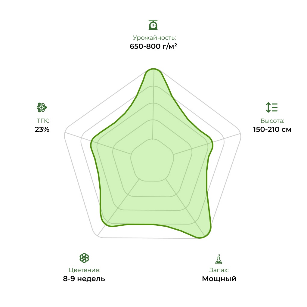 Технологический радар сорта Lemon Skunk 33stakana