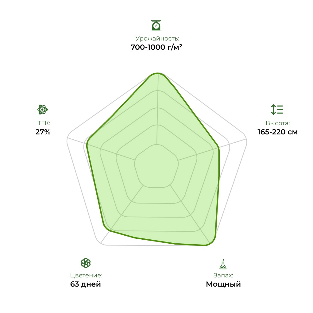 Технологический радар сорта Overdose 33stakana