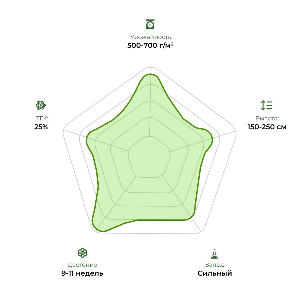 Технологический радар сорта Shaman 1 33stakana