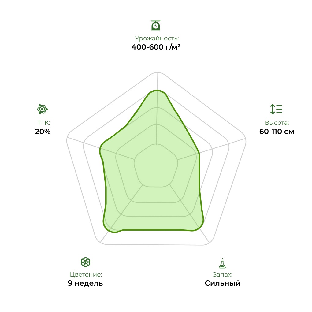 Технологический радар сорта Sweet Cheese Auto 33stakana