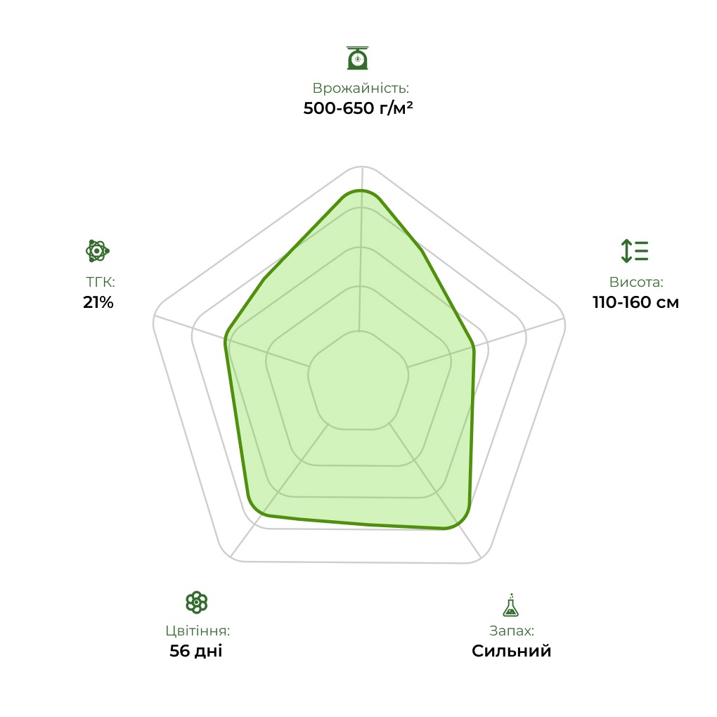 Технологічний радар сорту Auto Blue Cheese 33stakana