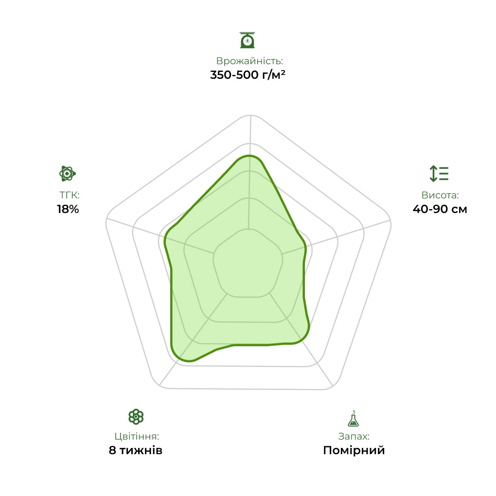 Технологічний радар сорту Auto Cream Caramel 33stakana