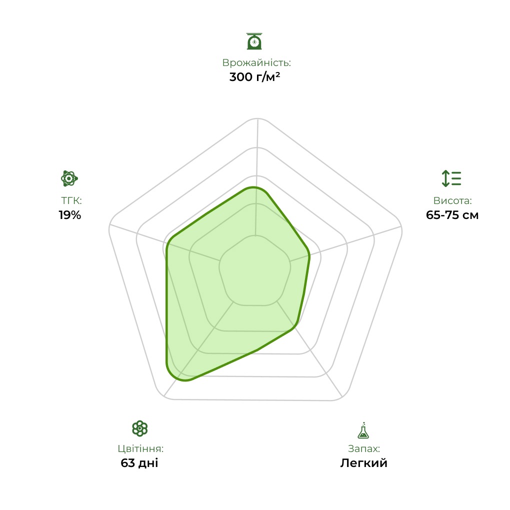 Технологічний радар сорту Auto Deadryder 33stakana