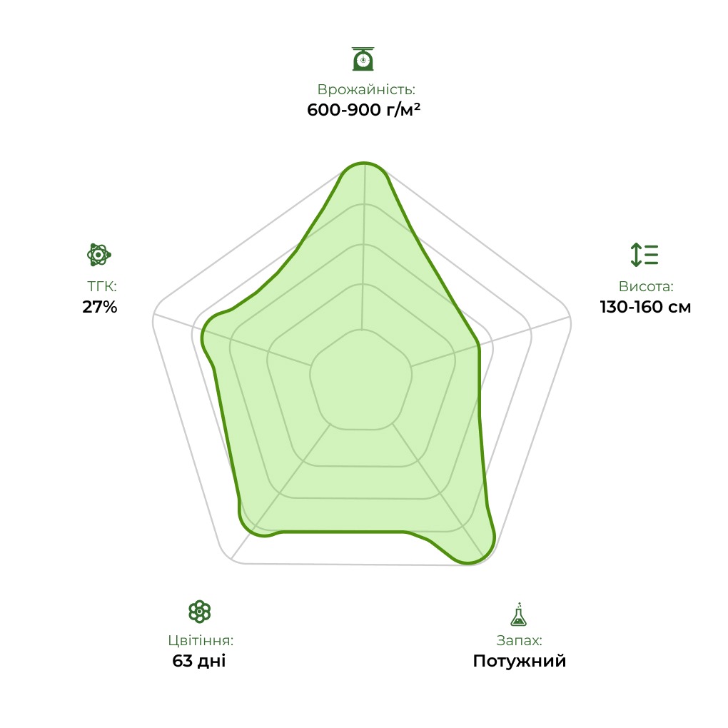 Технологічний радар сорту Auto Divine Rapier 33stakana