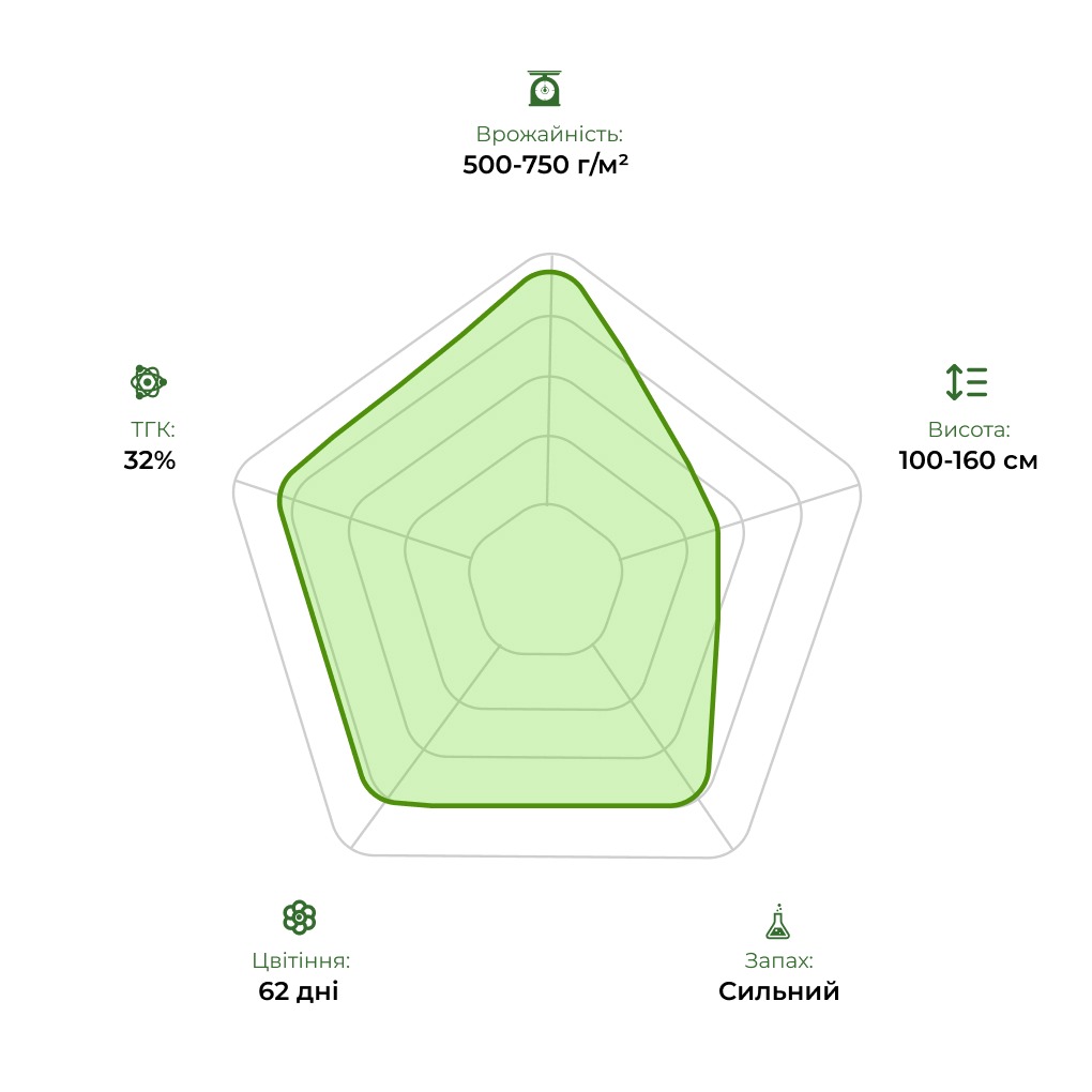 Технологічний радар сорту Auto Double Knockout 33stakana