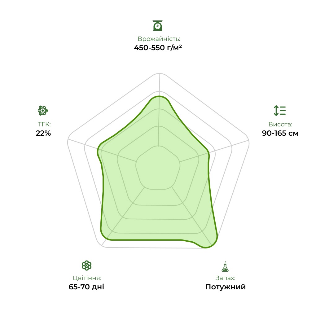 Технологічний радар сорту Auto Kali Mist 33stakana