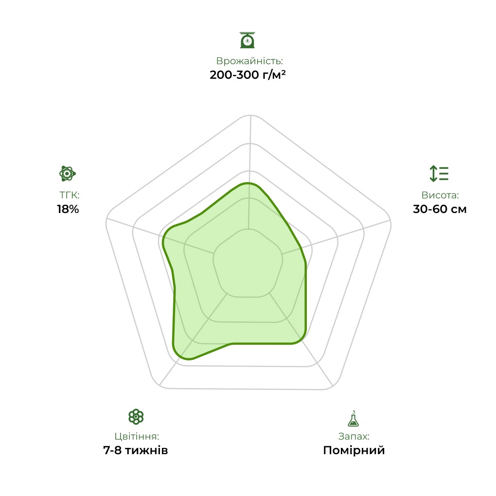 Технологічний радар сорту Auto lowryder 33stakana