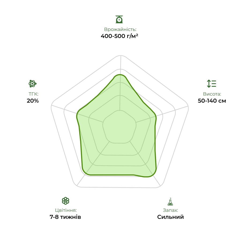 Технологічний радар сорту Auto Tutankhamon 33stakana.jpg