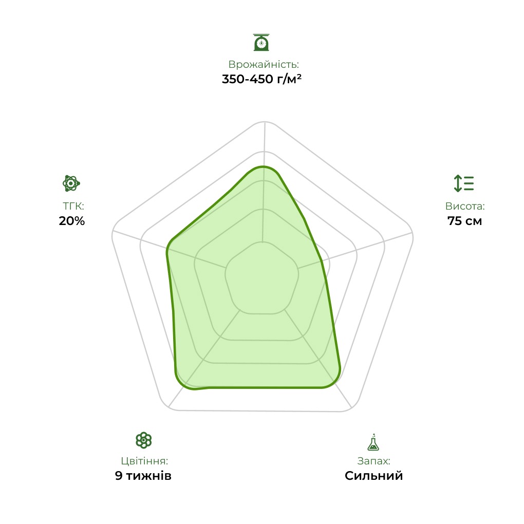 Технологічний радар сорту Auto White Berry 33stakana