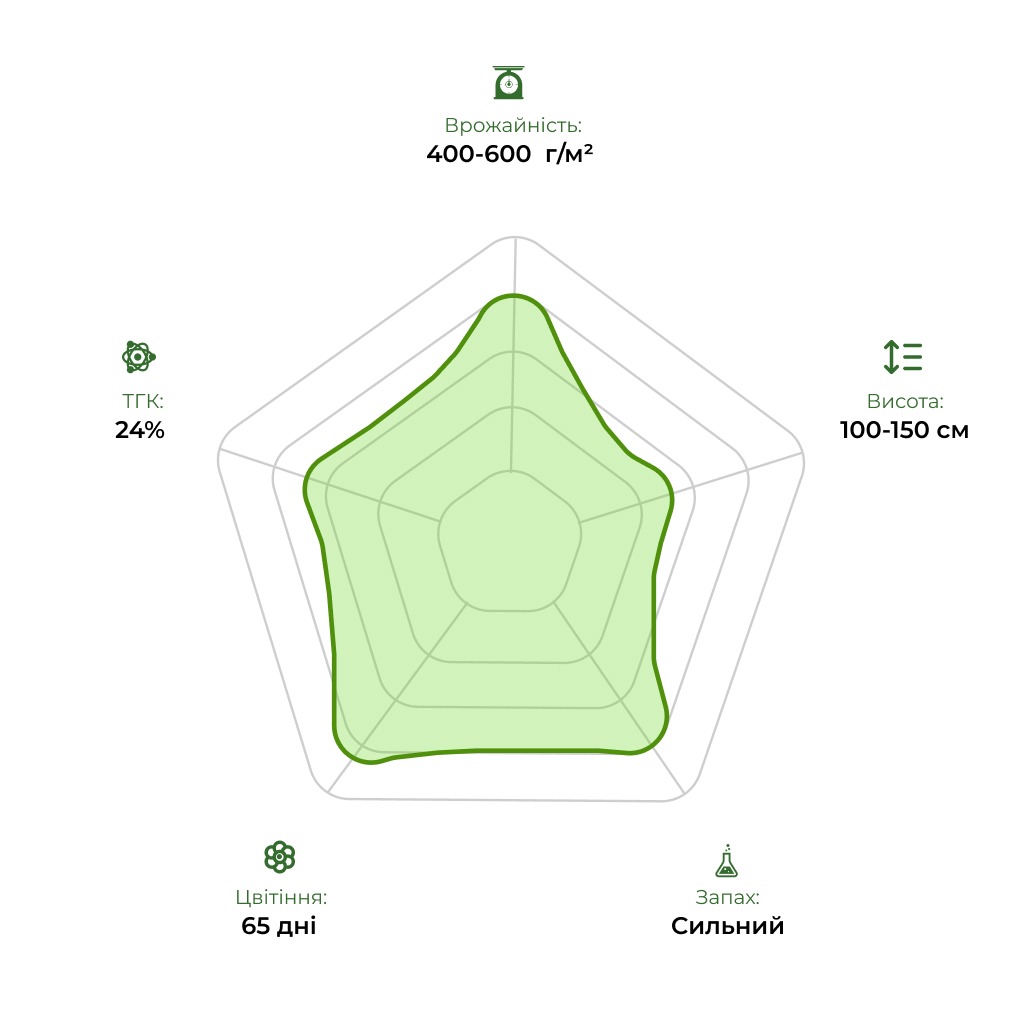 Технологічний радар сорту Auto White Virgin 33stakana