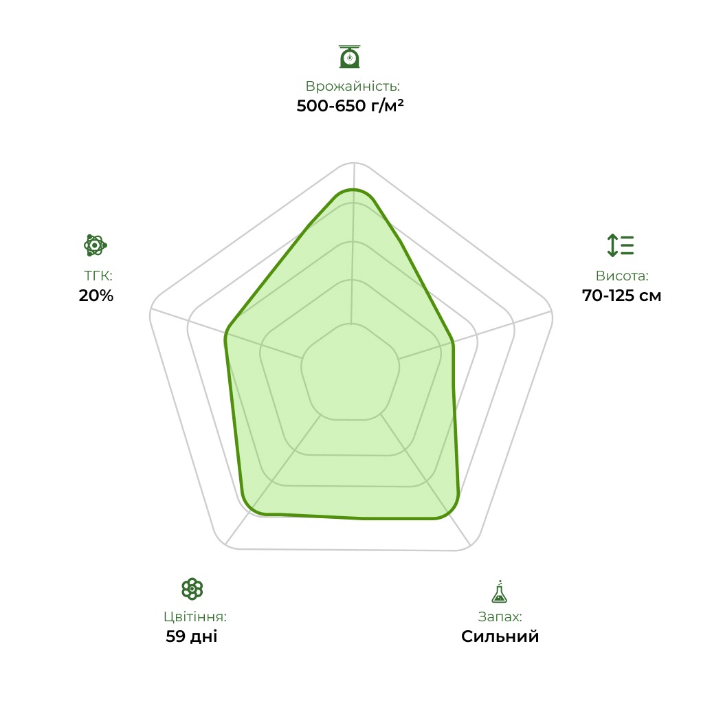 Технологічний радар сорту Auto White Widow 33stakana