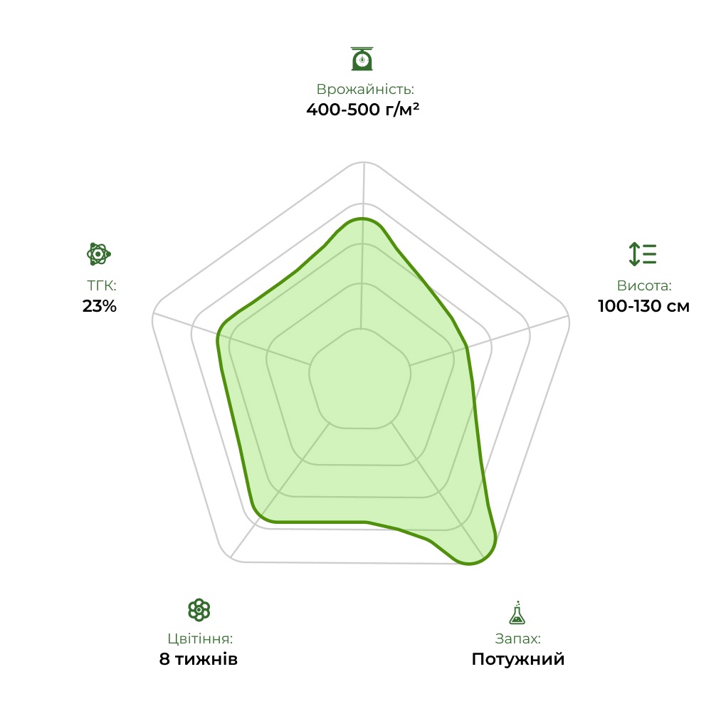 Технологічний радар сорту Black Domina 33stakana