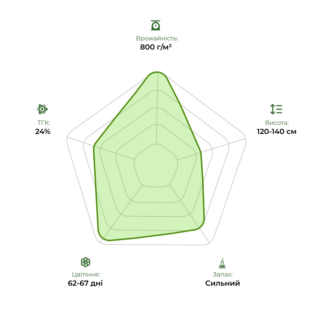 Технологічний радар сорту Divine Indica 33stakana