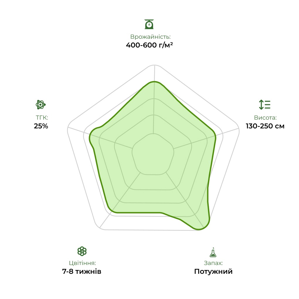 Технологічний радар сорту Killer Kush F1 Fast Version 33 stakana