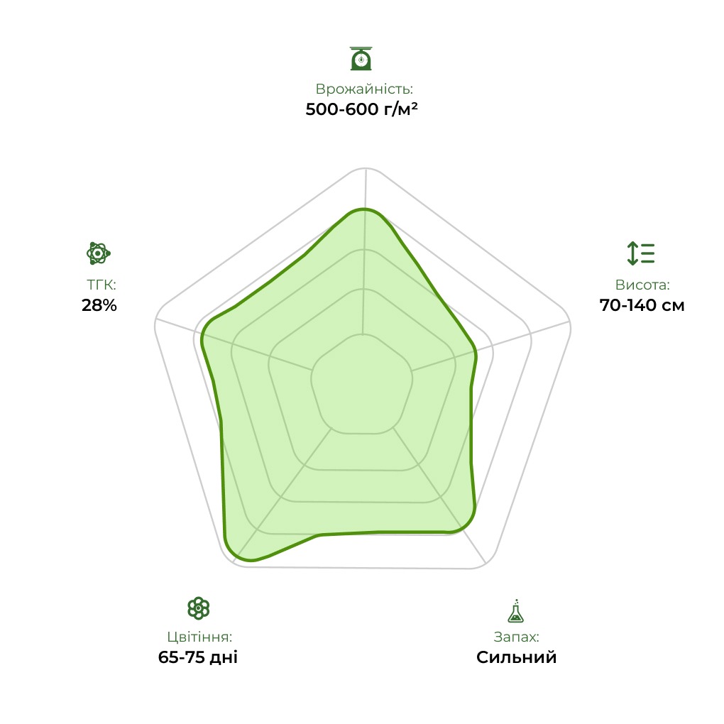 Технологічний радар сорту Satori 33stakana