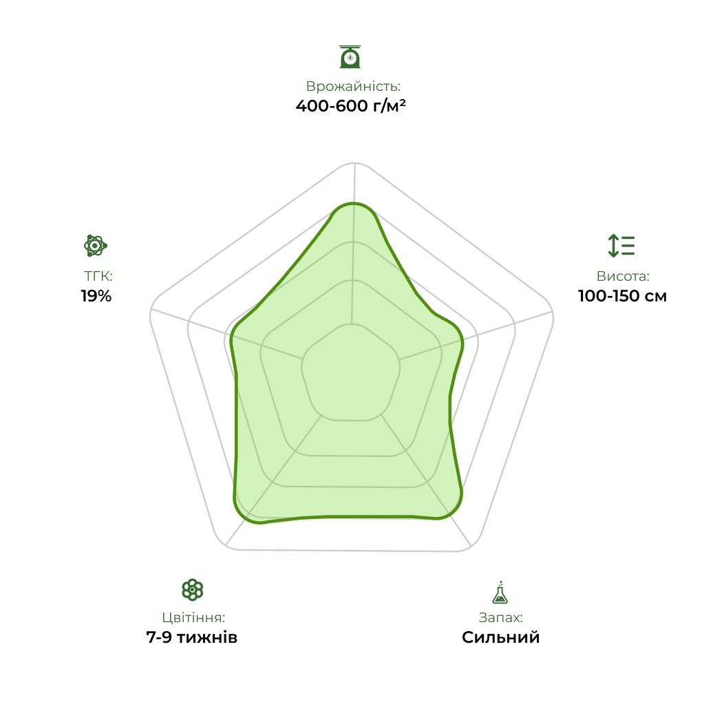 Технологічний радар сорту Shaman 33stakana