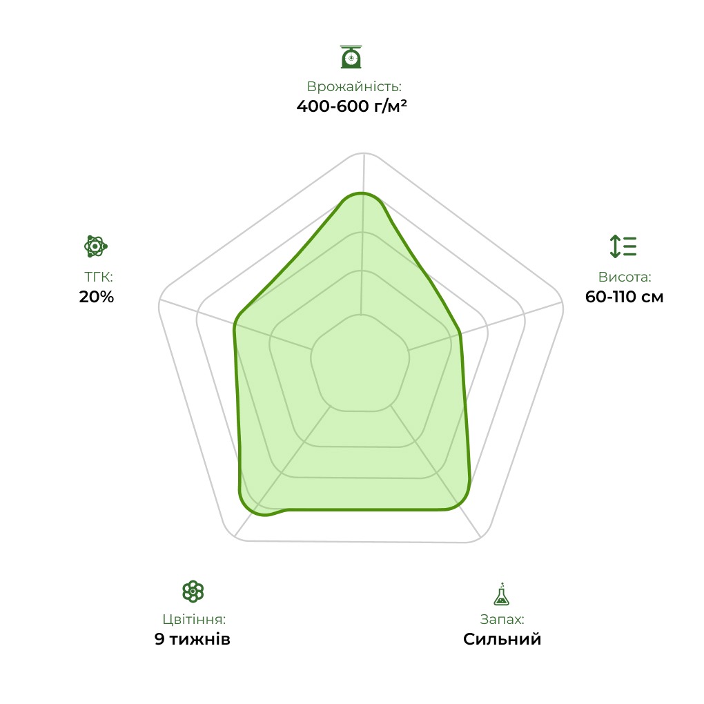 Технологічний радар сорту Sweet Cheese Auto 33 stakana