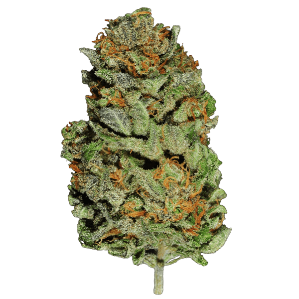 White Widow Indica/Sativa