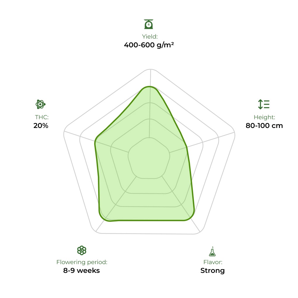 Zkittlez technology radar 33stakana